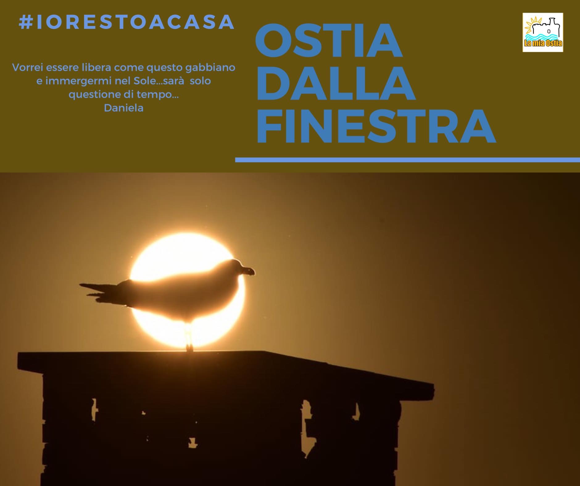 Ostia dalla finestra: mese di marzo